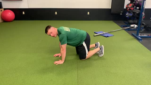 Bird Dog demonstration