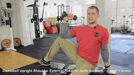 Seated Dumbbell Extension Rotation