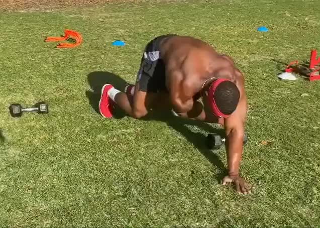 Male Bear Plank Dumbbell Pull Throughs demonstration