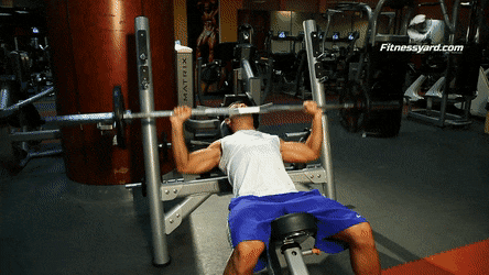 Barrel Chest Bedroom Workout Online Sale Up To 57 Off Www Sillasmesas Es