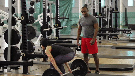 Barbell Hack Squat Gif