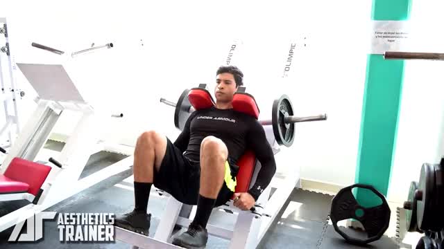 Lever Hack Press (plate loaded) | myworkouts.io