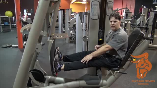 Reverse Leg Extension Machine