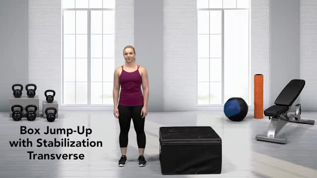 Box Jump-Up with Stabilization Transverse | myworkouts.io